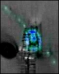 Proprioceptive event density for the stimulus-driven strategy (close-up).